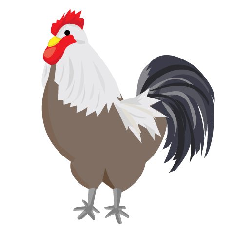 酉年の年賀状に使える鶏のイラスト E S Illustration Design イーズイラストレーション デザイン